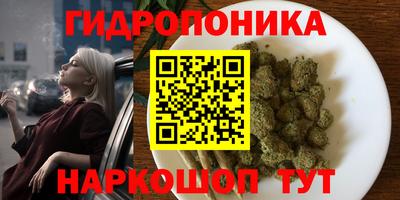 mdma Можга