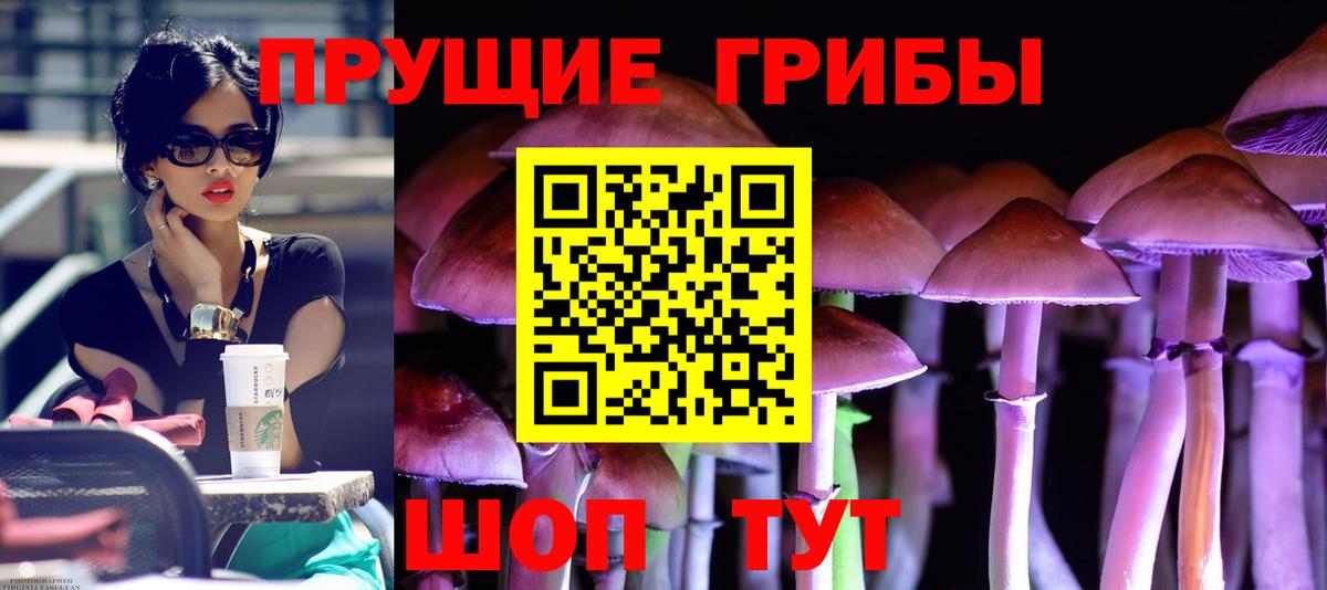 Псилоцибиновые грибы Волжск